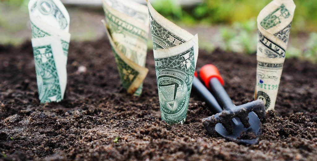 dollar bill on the ground planted