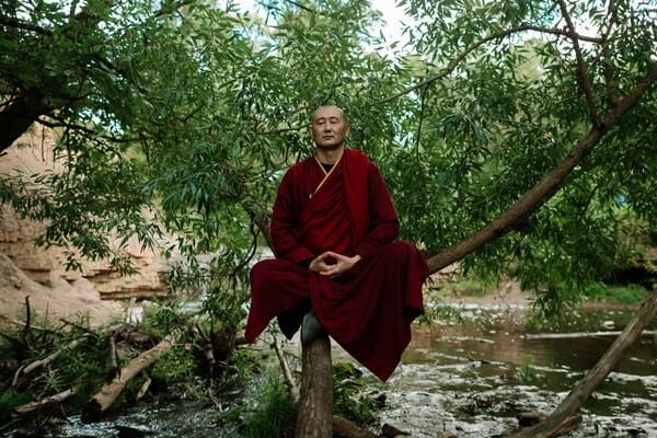 monk meditating on a tree