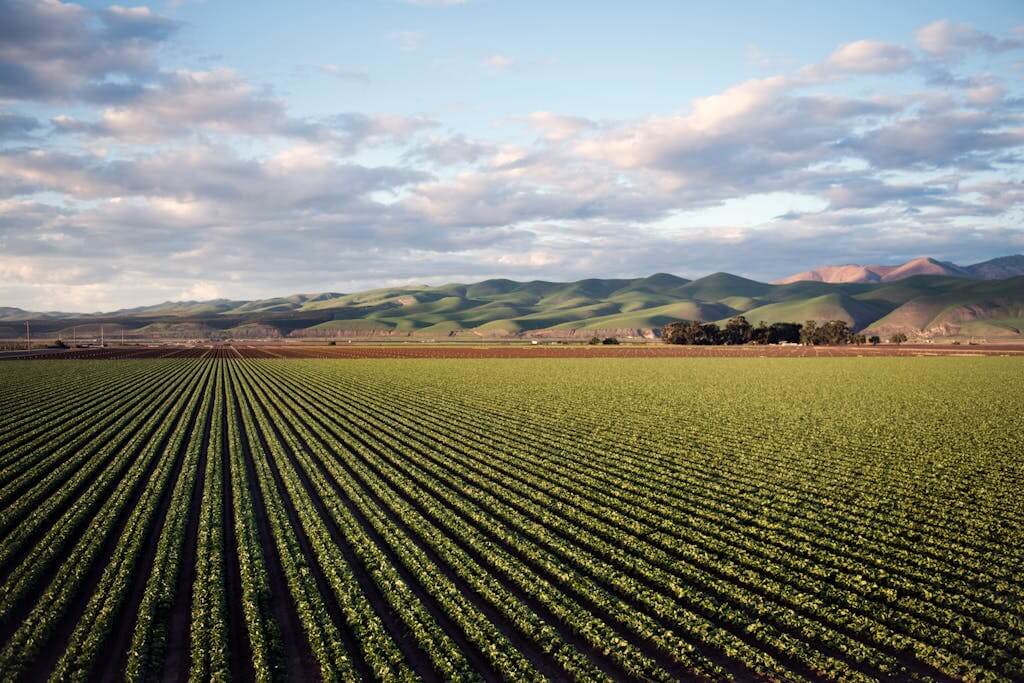 Beautiful skyline with farm land in background