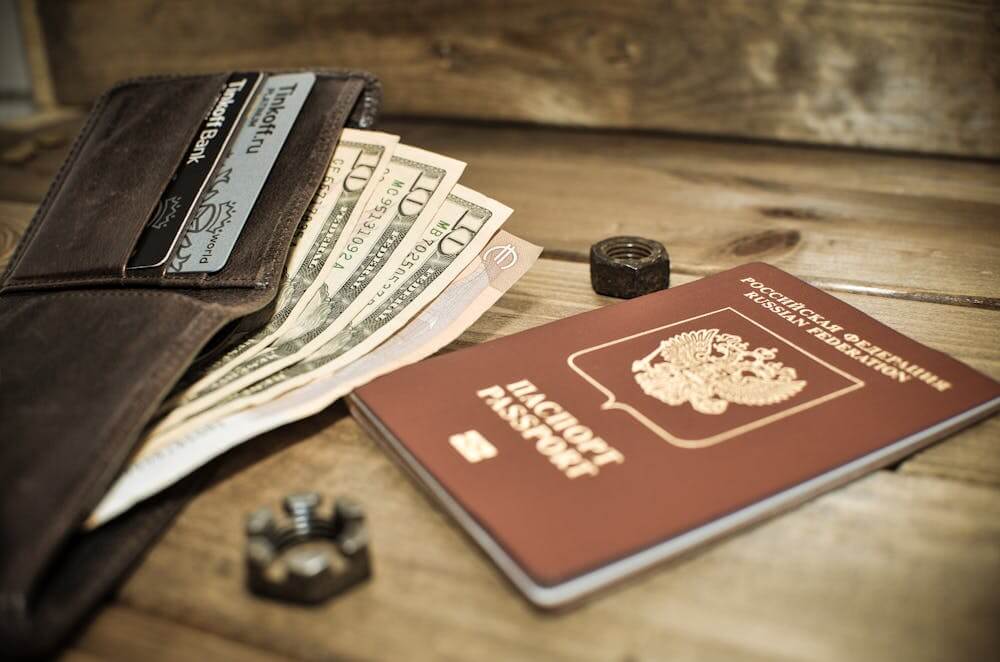 passport wallet with us dollars